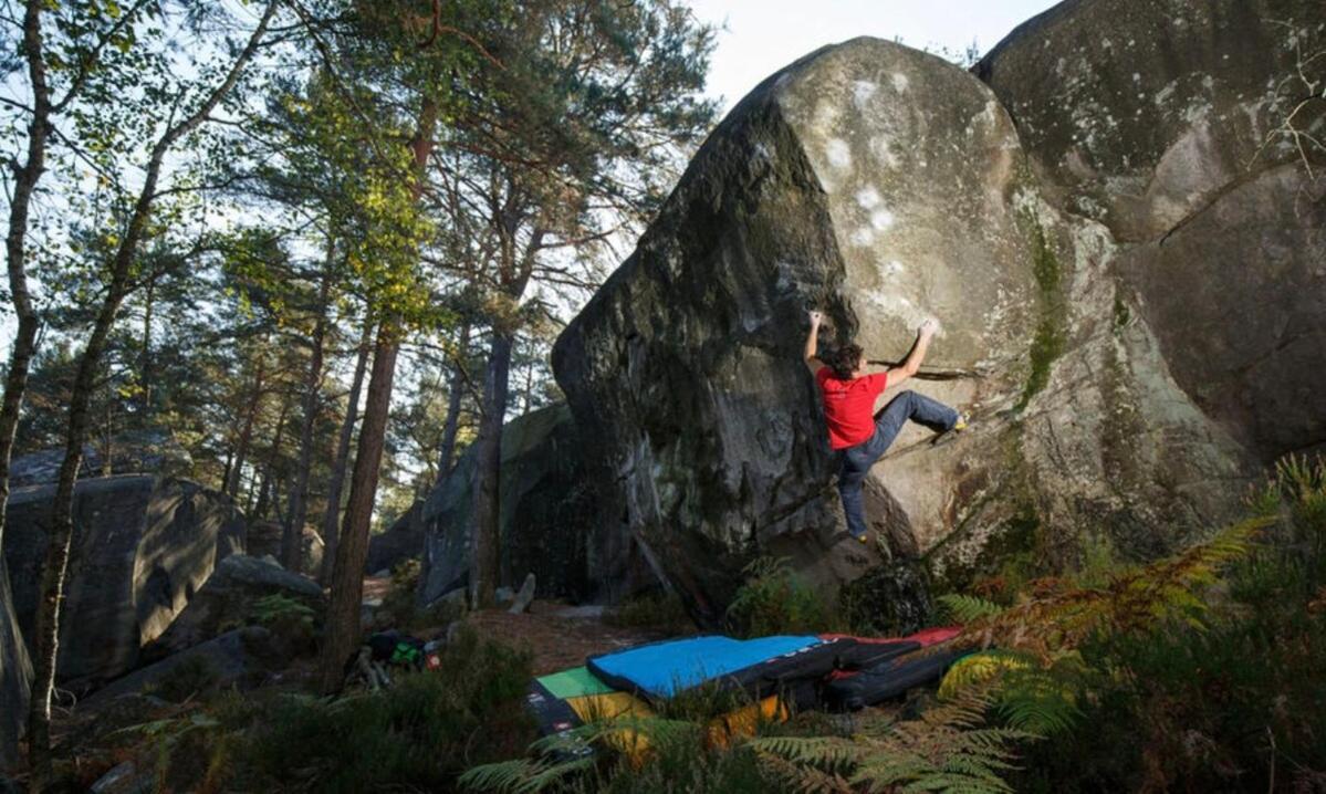 Zanzibar - 15 Min Walk To Fontainebleau Chateau آفو المظهر الخارجي الصورة
